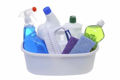 Professional carpet cleaning service terms with booking and payment conditions