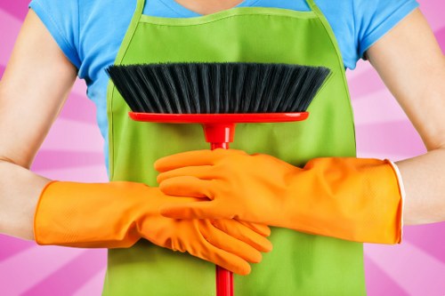 Assessing a carpet cleaning concern with care and accuracy