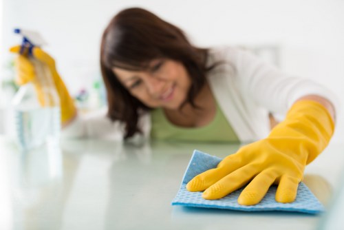 Professional carpet cleaning team working on a residential carpet in Dalston