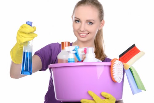 Professional hot water extraction carpet cleaning process